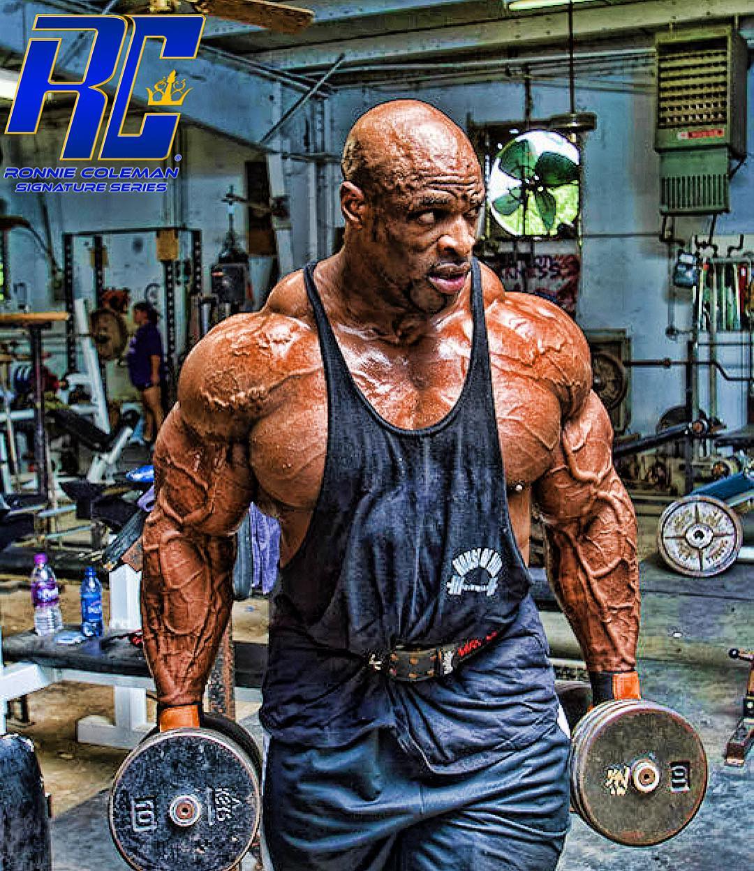 ronnie coleman training plan