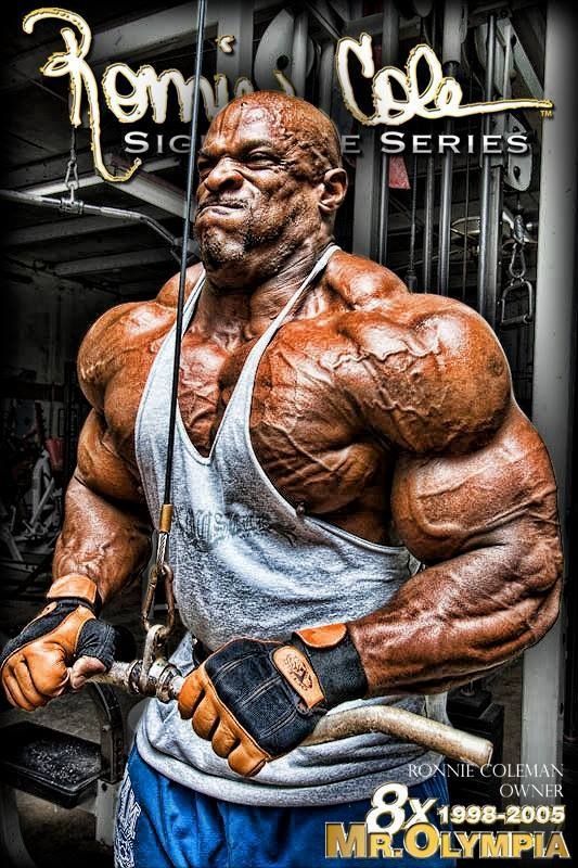 ronnie coleman triceps workout
